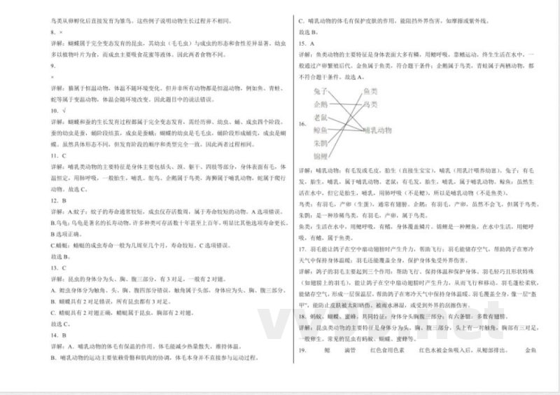 第三单元 动物的分类（单元测试）科学大象版三年级上册 A3版