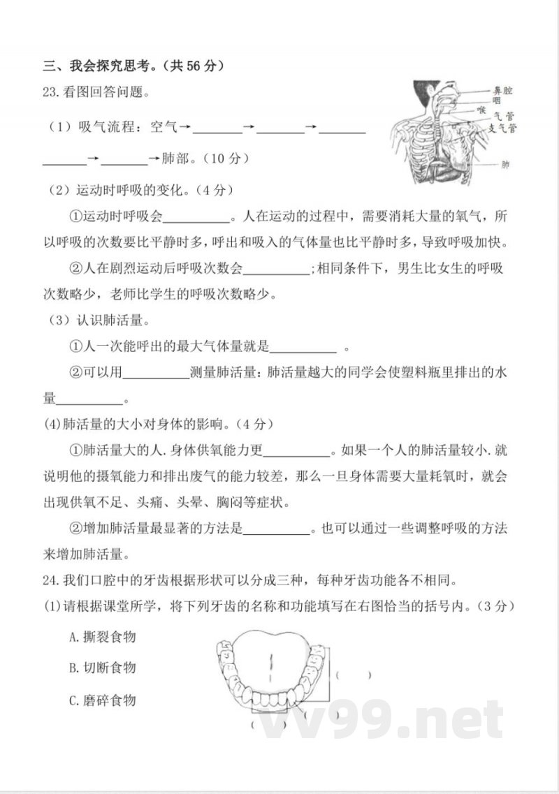 第二单元 （单元测试） 科学四年级上册（教科版）