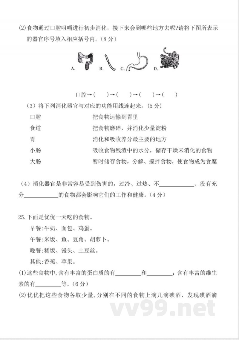 第二单元 （单元测试） 科学四年级上册（教科版）