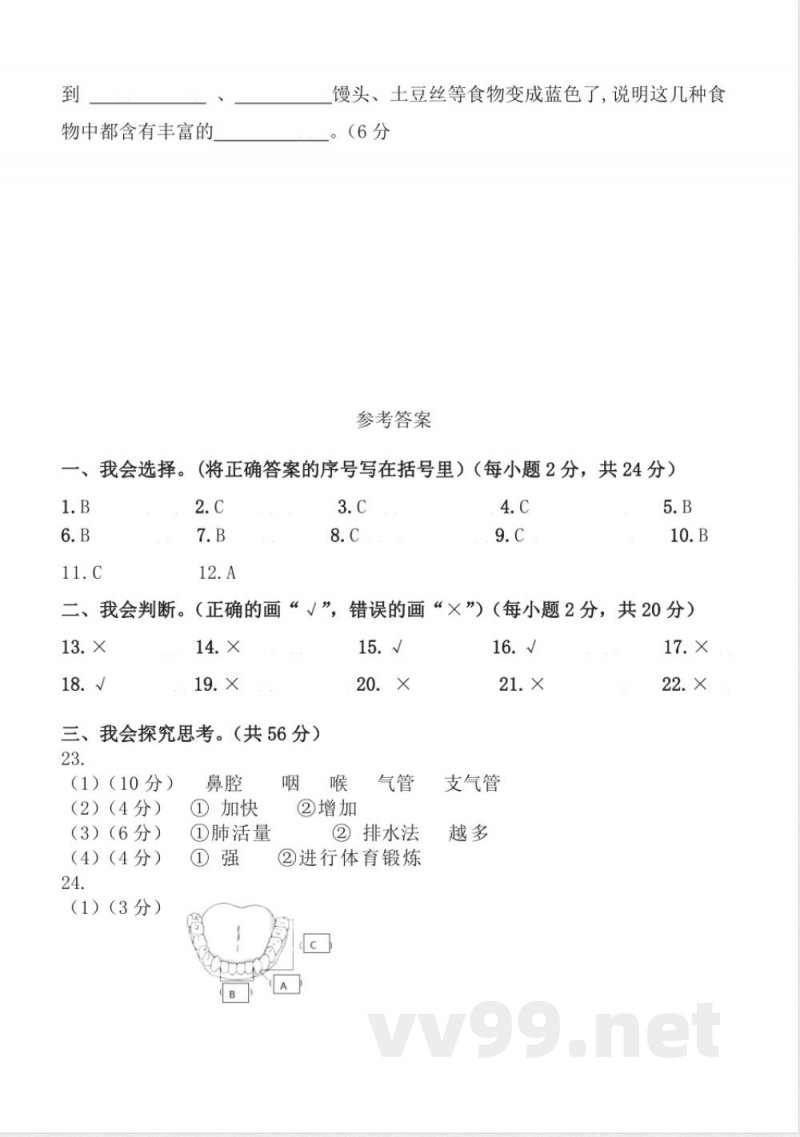 第二单元 （单元测试） 科学四年级上册（教科版）