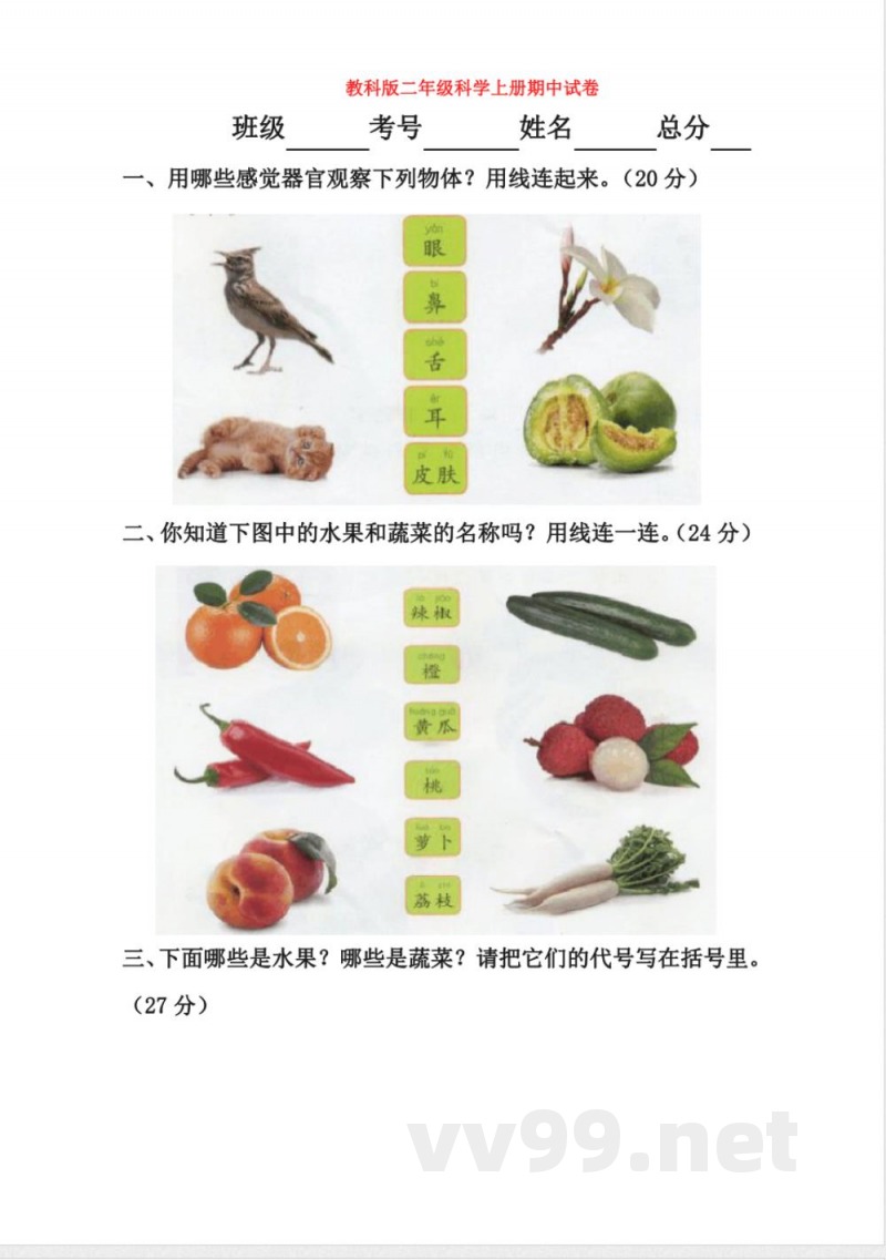 【科学】教科版二年级科学上册期中试卷
