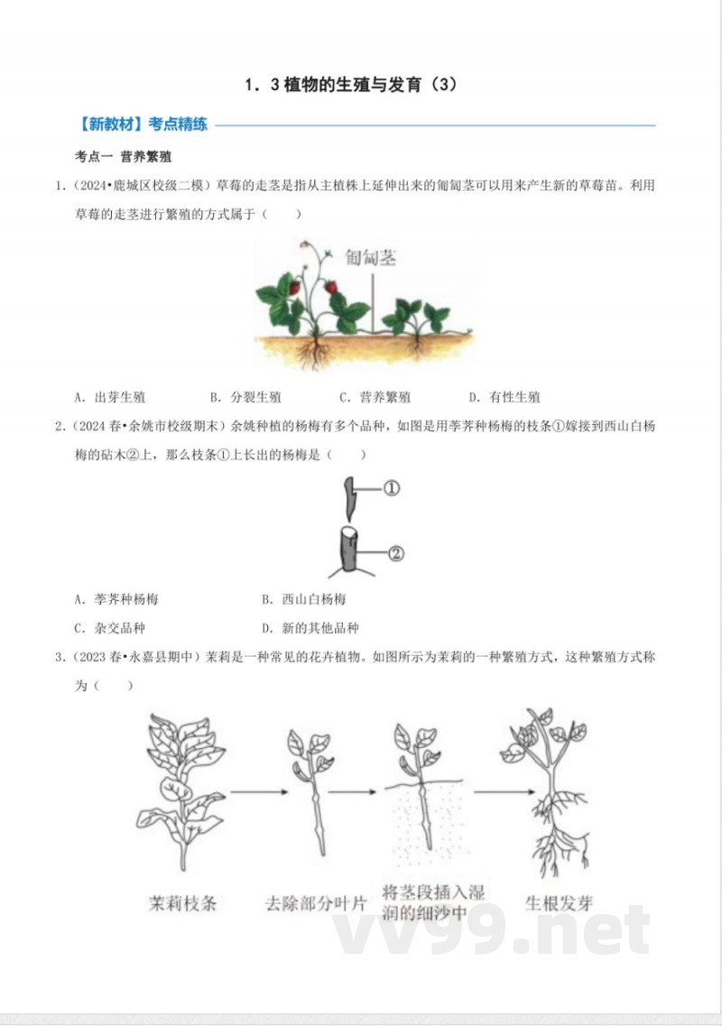 1.3植物的生殖与发育(3)(同步练习)浙教版科学七年级下册 1.3植物的生殖与发育(3)(同步练习)浙教版科学七年级下册