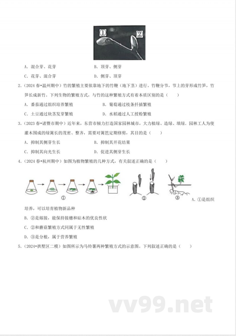 1.3植物的生殖与发育(3)(同步练习)浙教版科学七年级下册 1.3植物的生殖与发育(3)(同步练习)浙教版科学七年级下册