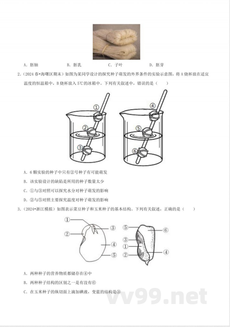 1.3植物的生殖与发育(2)(同步练习)浙教版科学七年级下册 1.3植物的生殖与发育(2)(同步练习)浙教版科学七年级下册