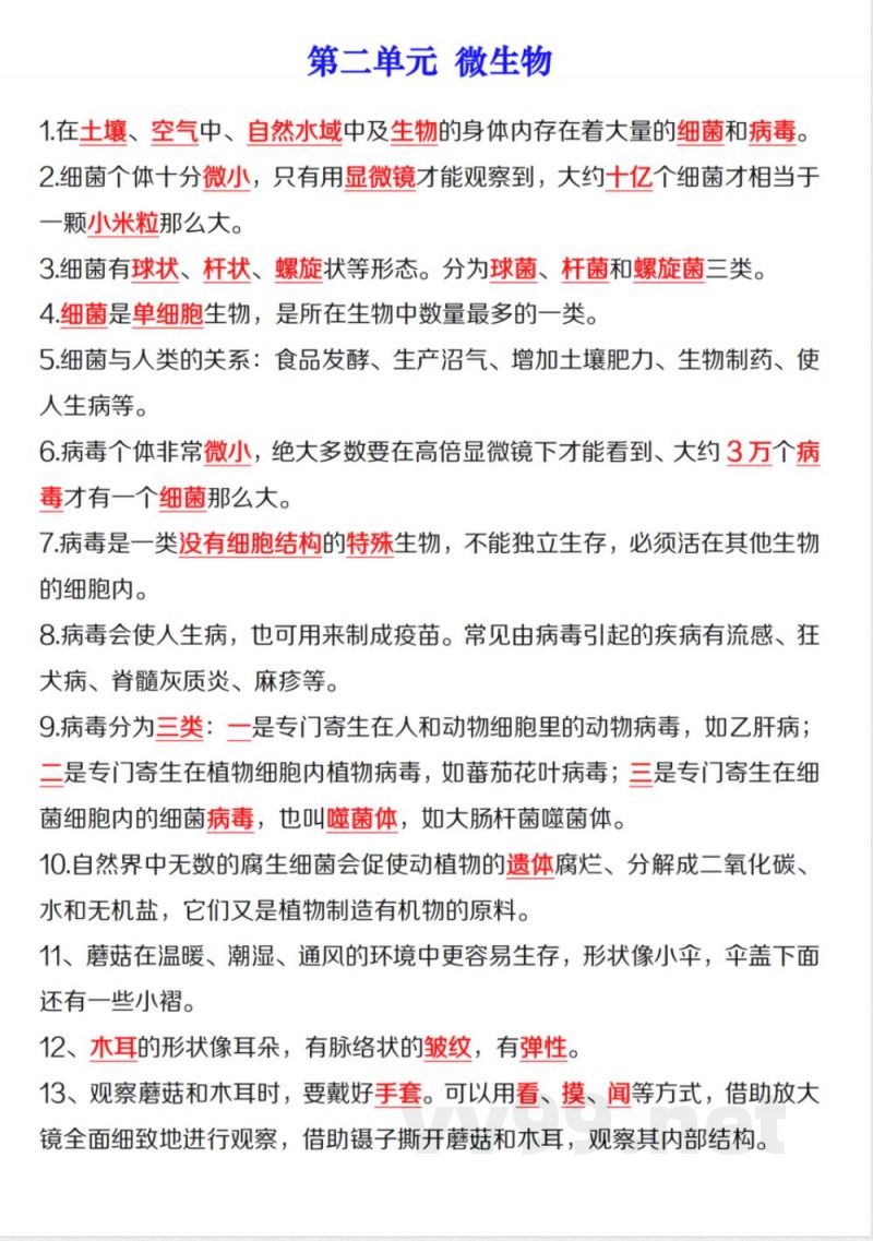 【科学】【青岛63版】六年级上册科学核心知识点汇总【1-3】单元 【科学】【青岛63版】六年级上册科学核心知识点汇总【1-3】单元