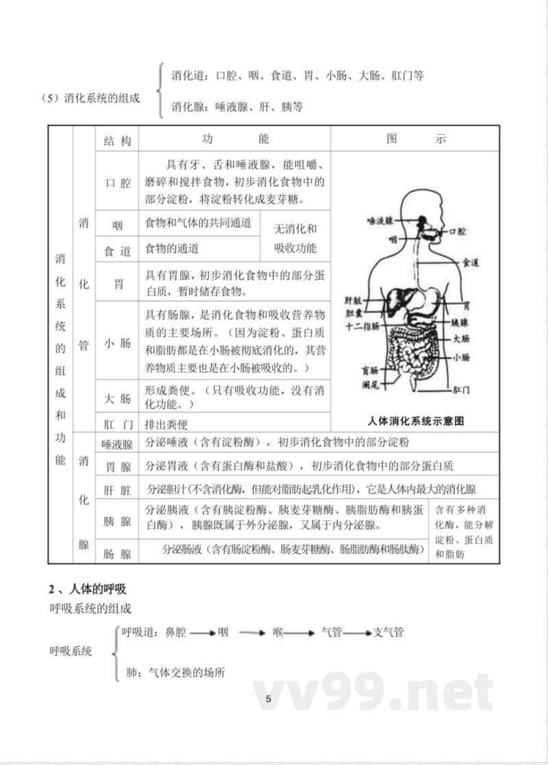 七年级下册生物知识点梳理汇总