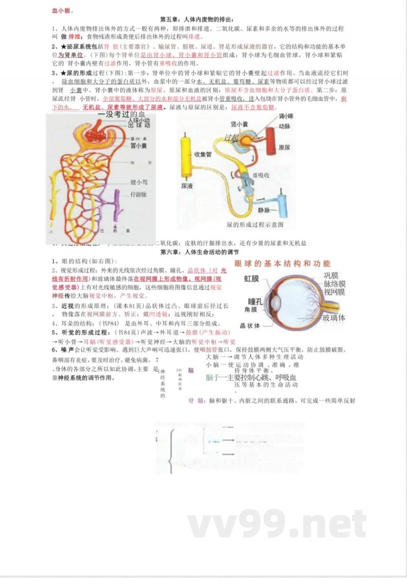 七年级下册生物知识点归纳整理