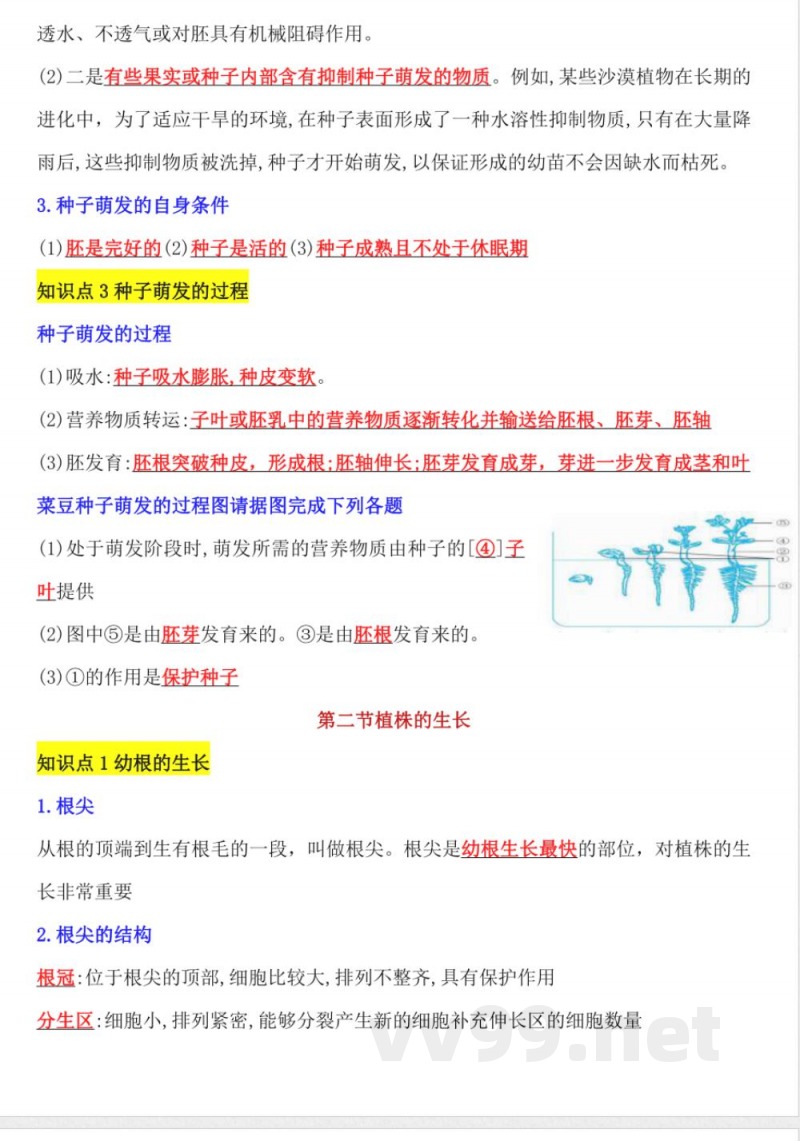 【25新版】七年级下册生物知识点总结