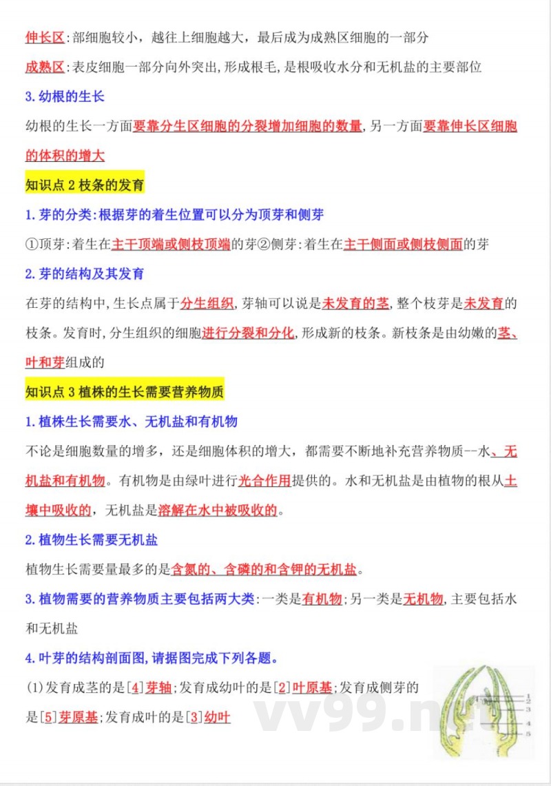 【25新版】七年级下册生物知识点总结