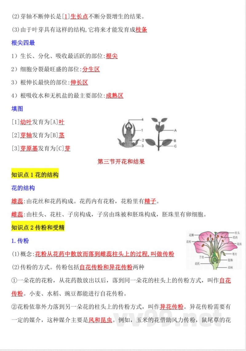 【25新版】七年级下册生物知识点总结