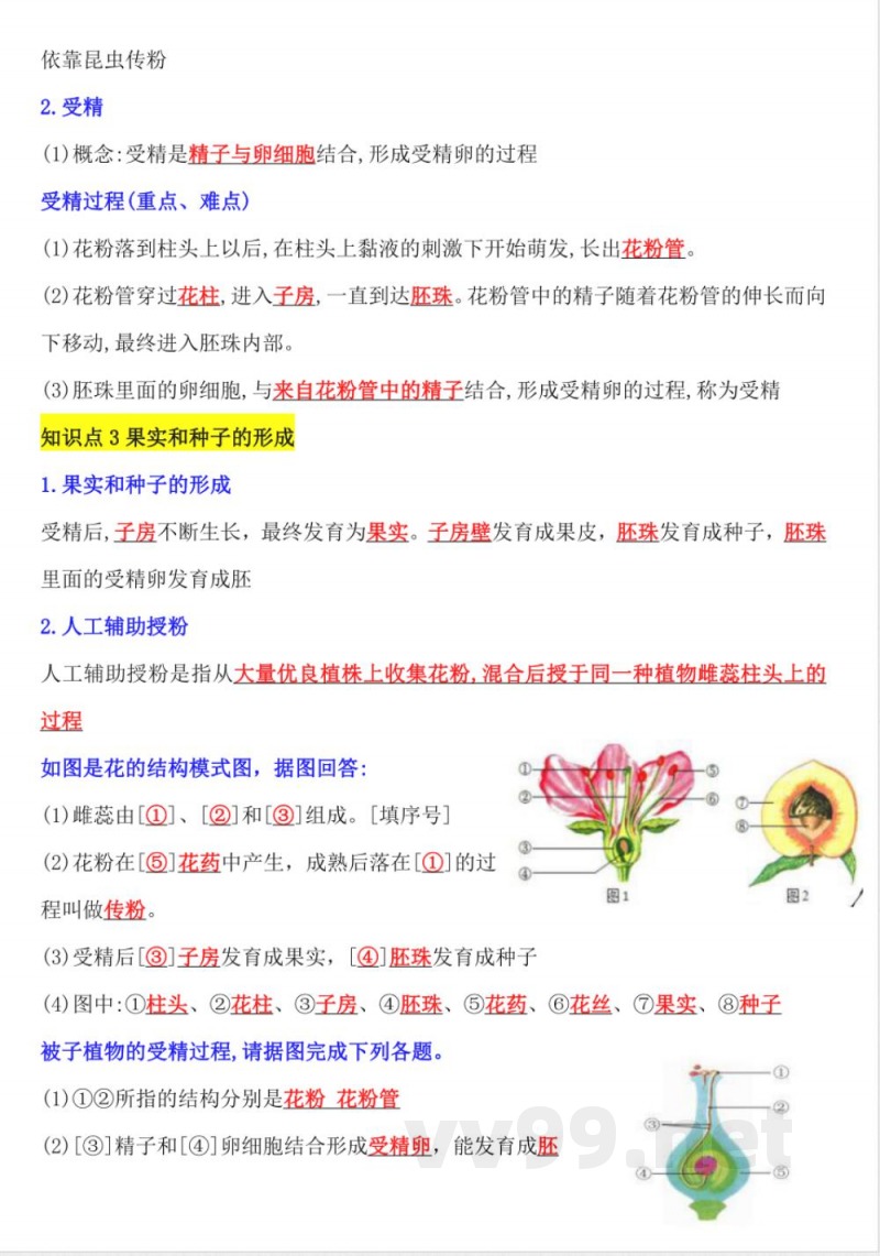 【25新版】七年级下册生物知识点总结