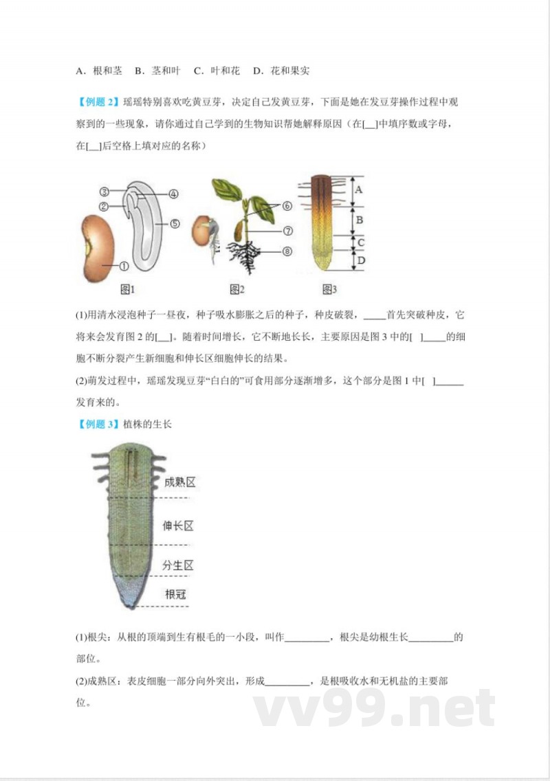 七年级生物下册单元专题知识点通关 七年级生物下册单元专题知识点通关