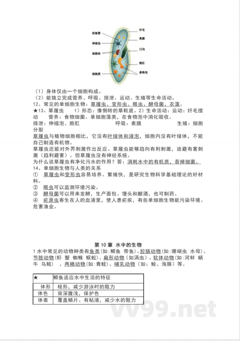 苏科版七年级生物下册知识点 苏科版七年级生物下册知识点