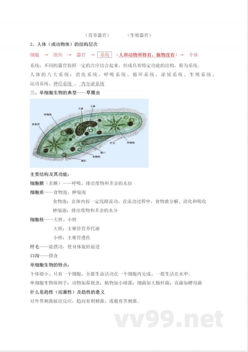 冀少版初中生物七年级上册知识梳理 冀少版初中生物七年级上册知识梳理