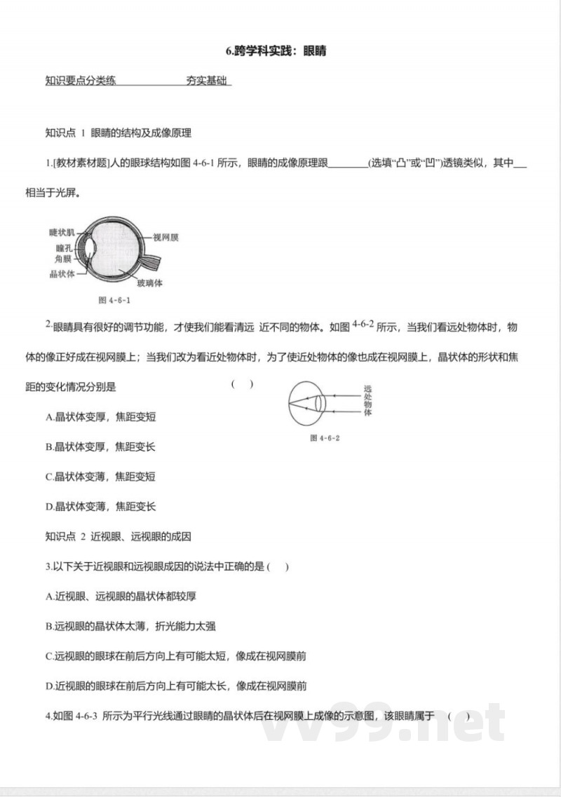 跨学科实践:眼睛同步练习教科版八年级物理上册 跨学科实践:眼睛同步练习教科版八年级物理上册