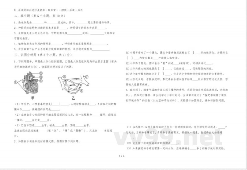 人教版七年级上册《生物》期末试卷(及答案)