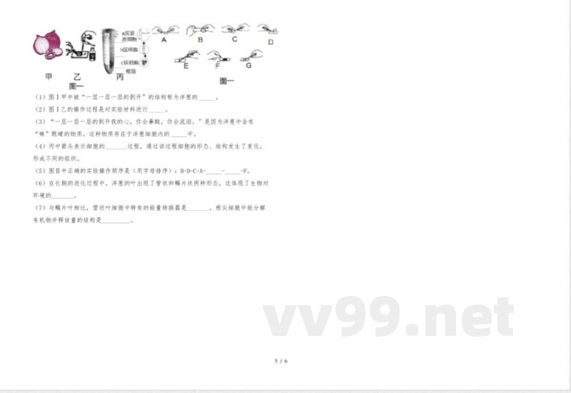 人教版七年级上册《生物》期末试卷(及答案)