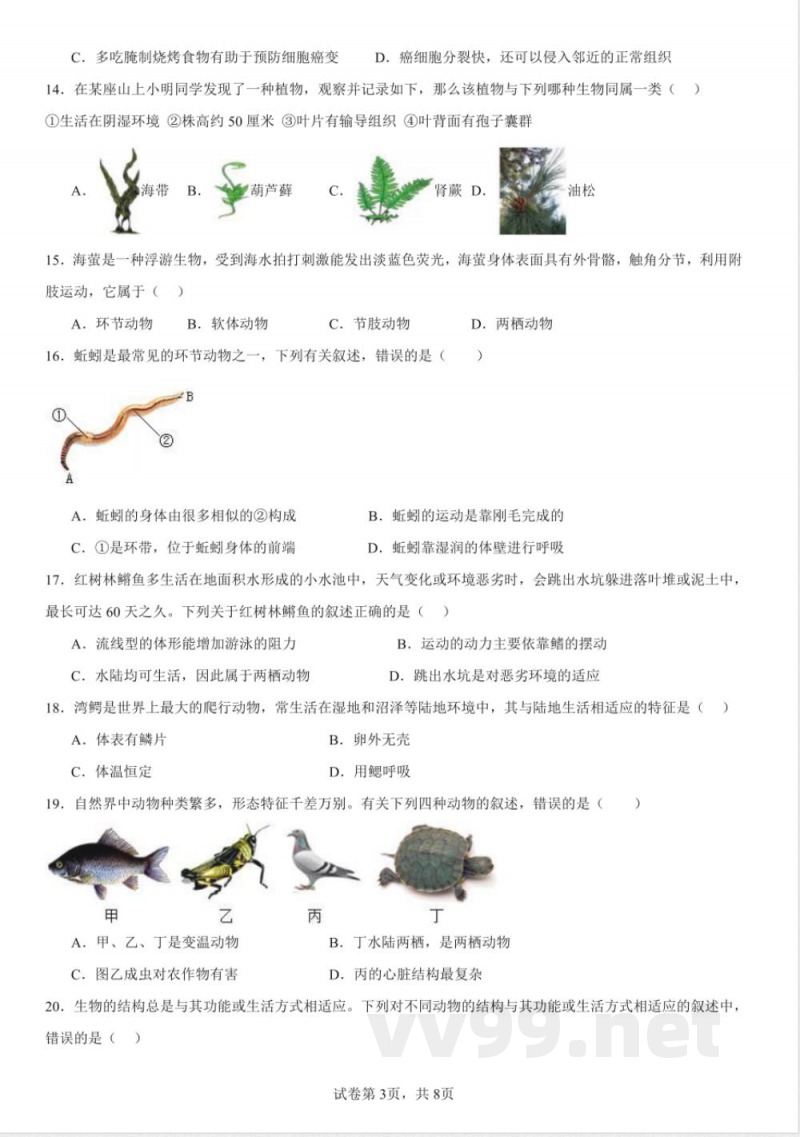 七年级上册生物期末检测