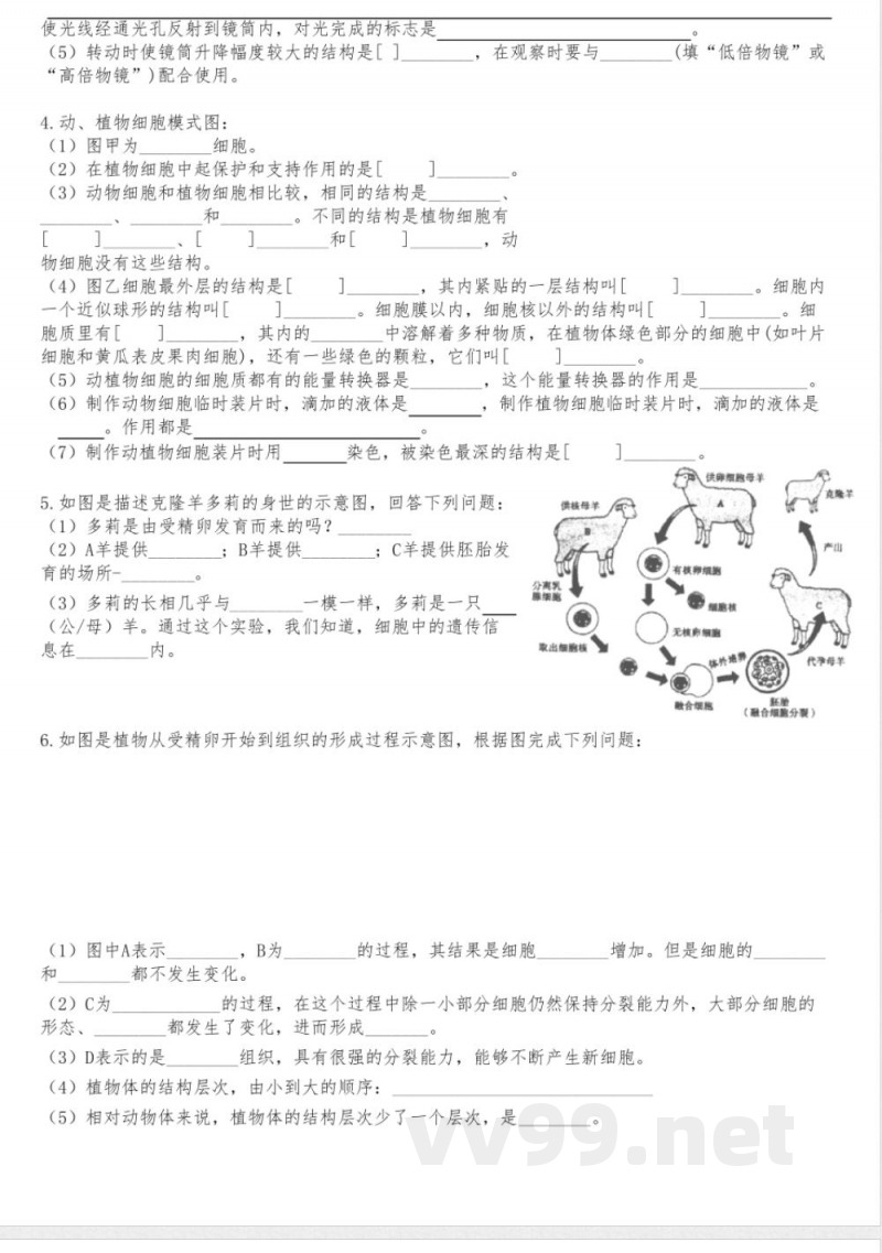 期末总复习识图练习 人教版生物七年级上册