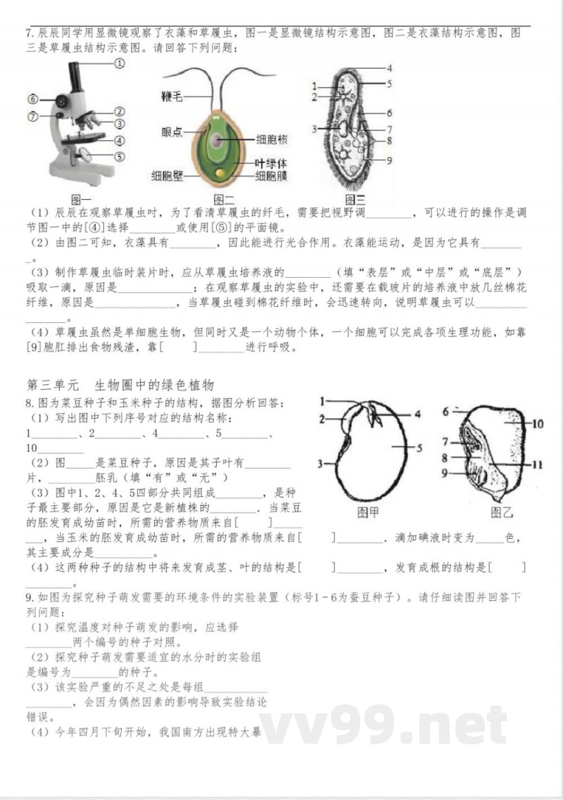 期末总复习识图练习 人教版生物七年级上册