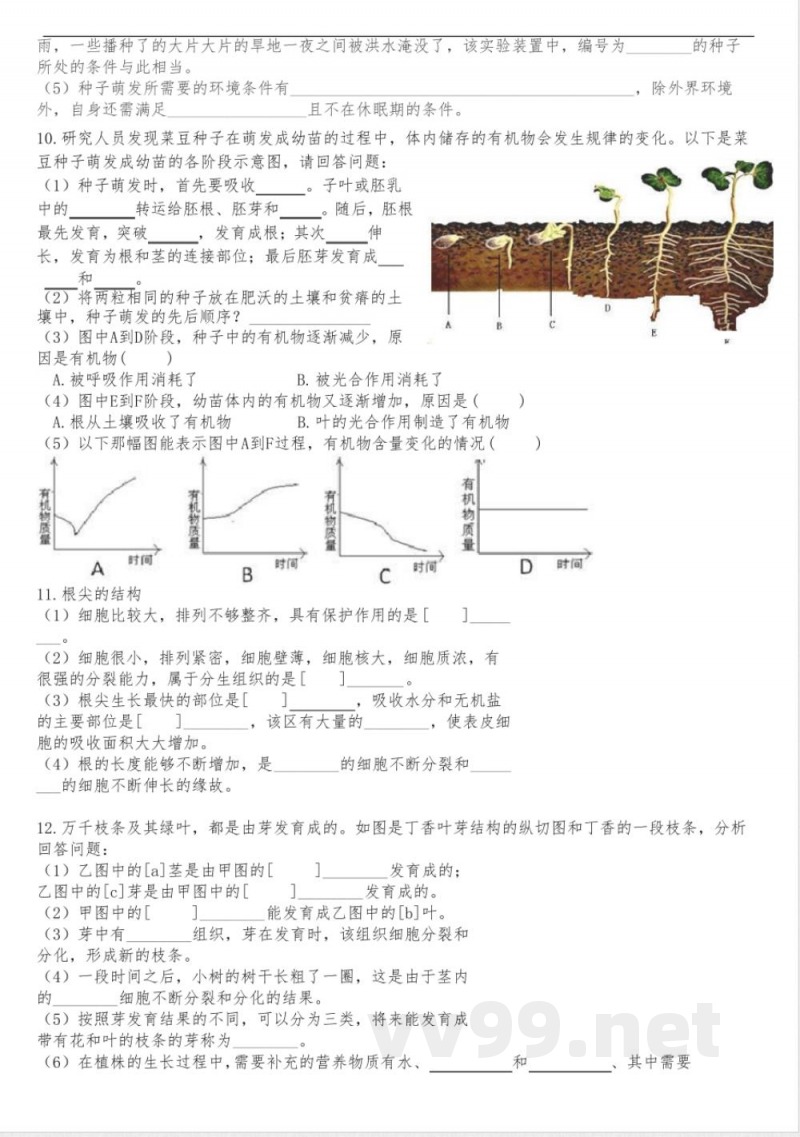 期末总复习识图练习 人教版生物七年级上册