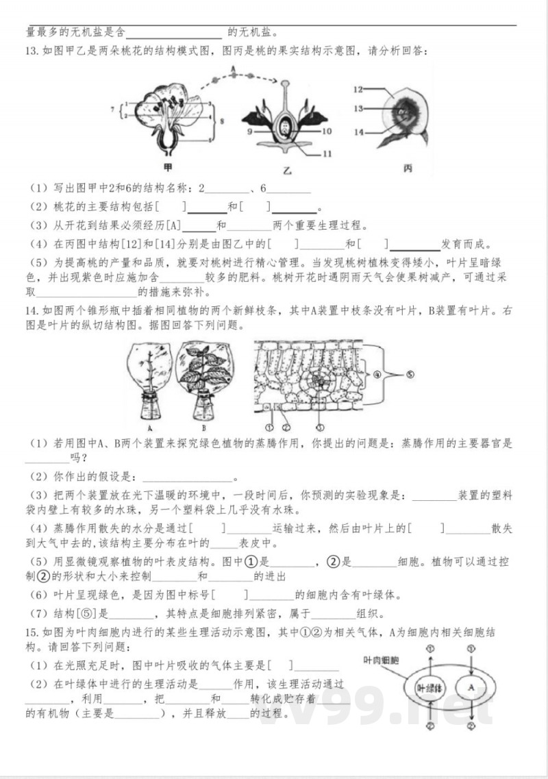 期末总复习识图练习 人教版生物七年级上册