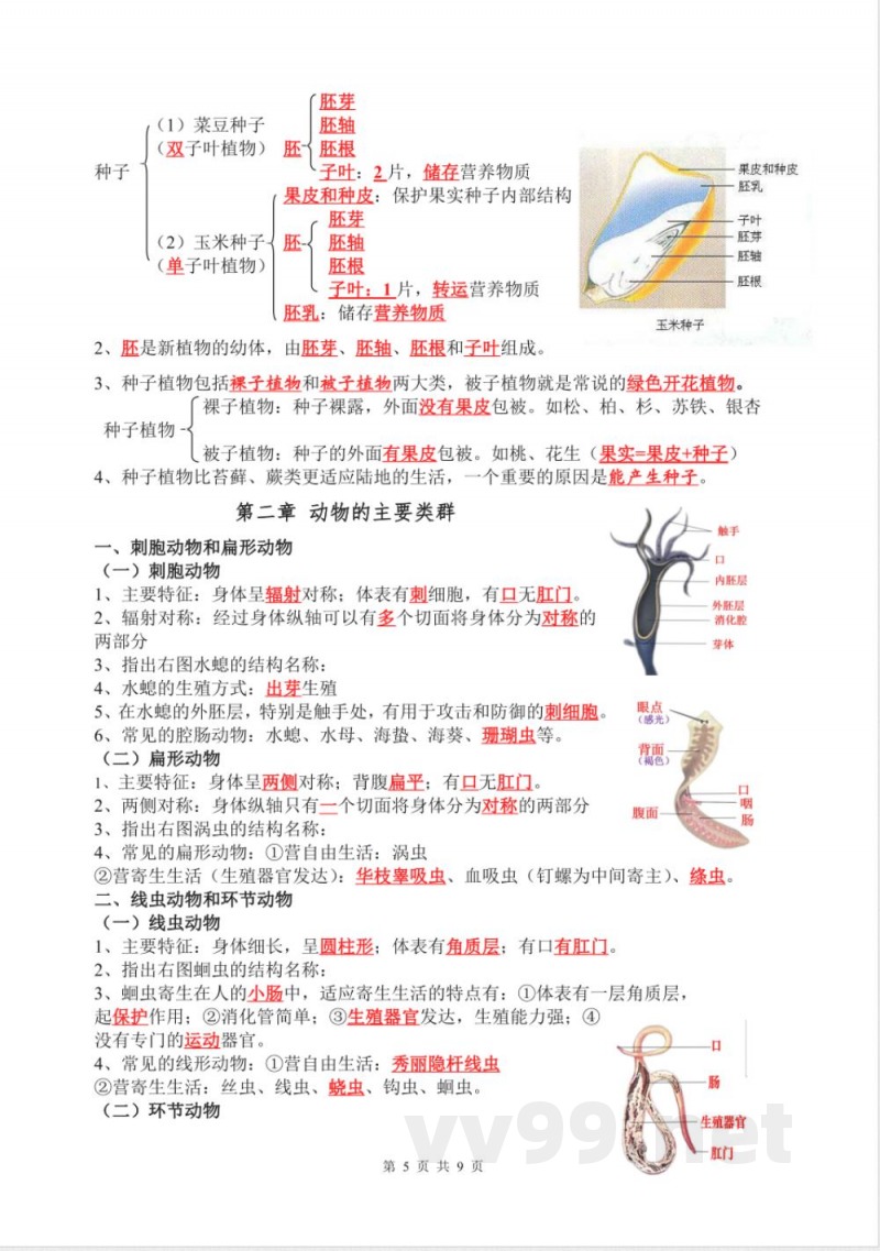 人教版生物七年级上册知识汇总