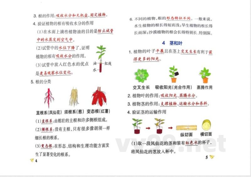 四年级科学下册知识点笔记