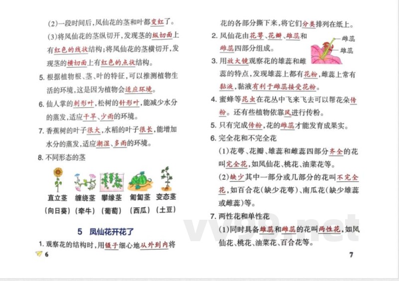 四年级科学下册知识点笔记