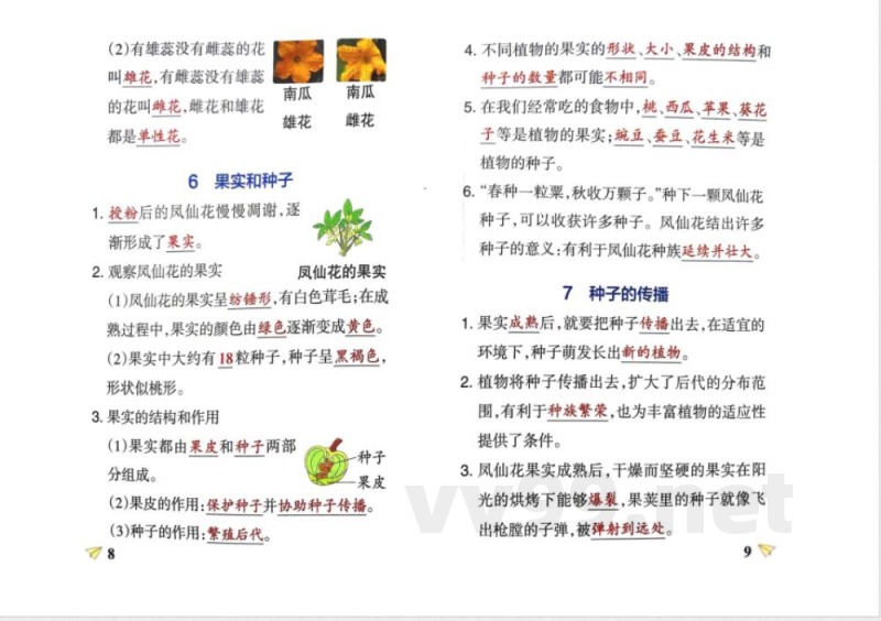 四年级科学下册知识点笔记