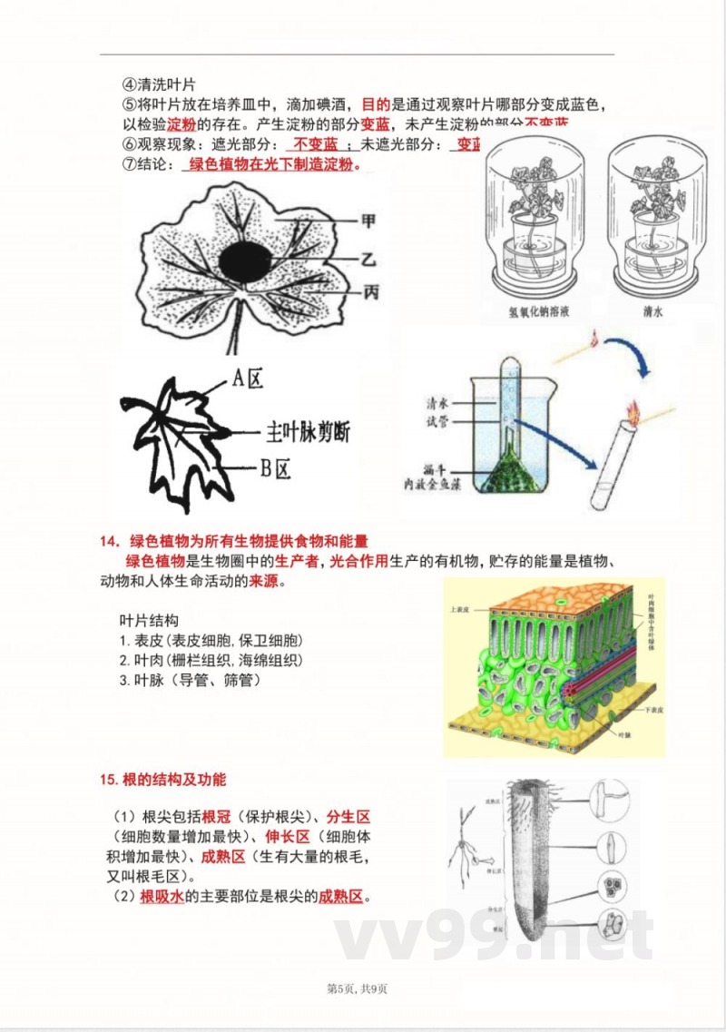 （新苏科版）七年级上册生物知识点总结