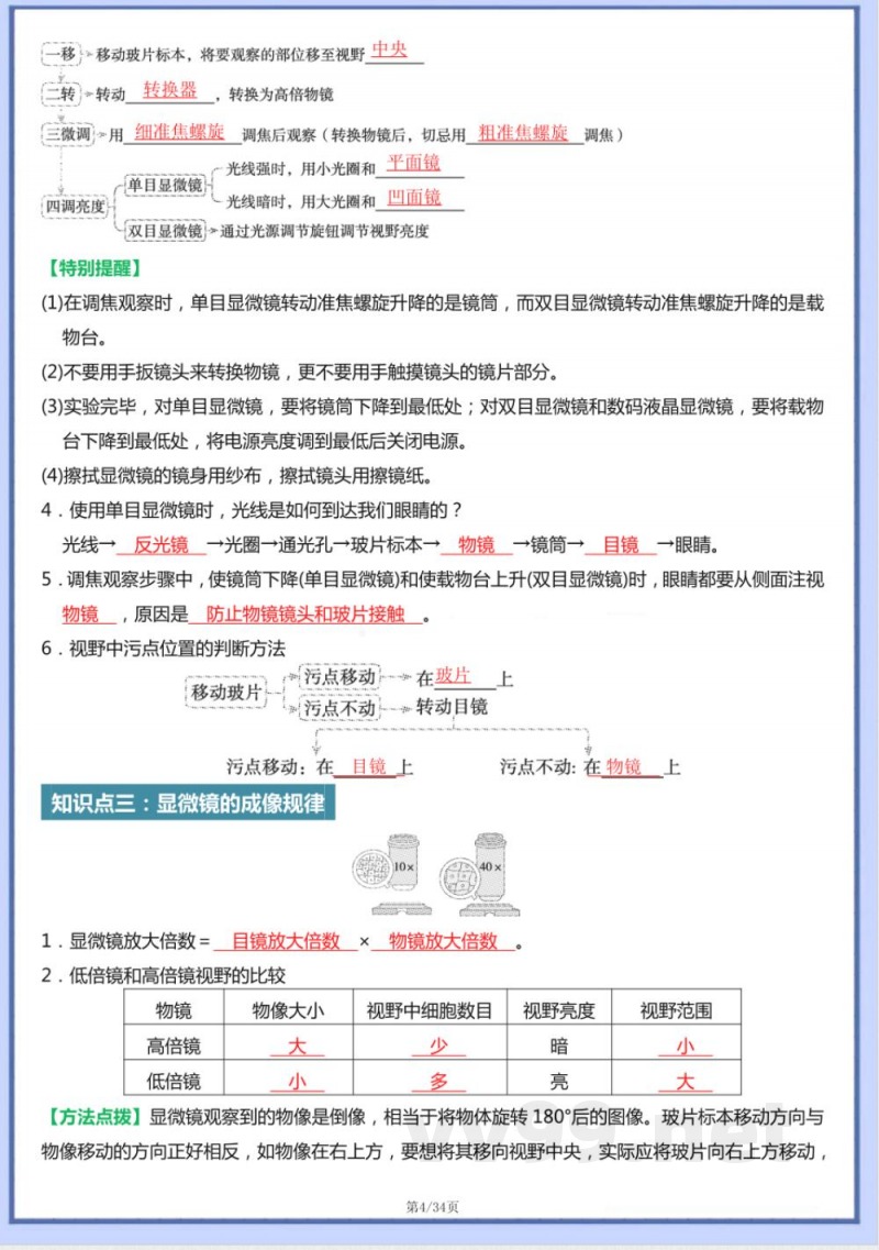 2024版七年级上册人教生物知识点梳理