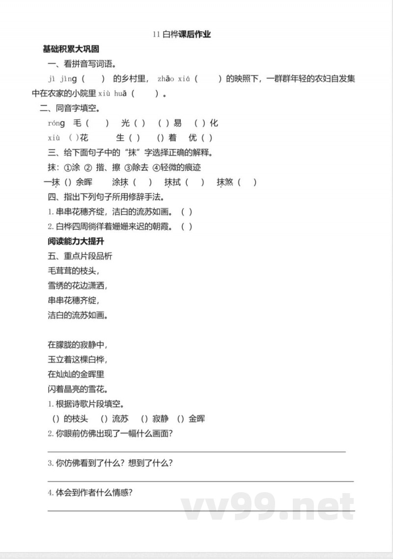 统编版语文四年级下册习题：11 白桦