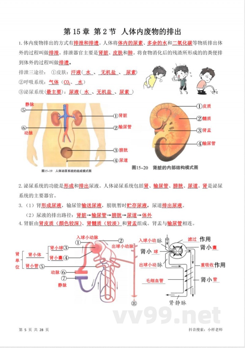 苏科版八年级上册生物知识点总结 苏科版八年级上册生物知识点总结