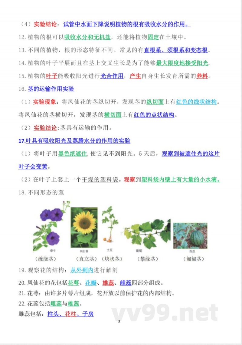 新改版教科版四年级下册科学知识点总结