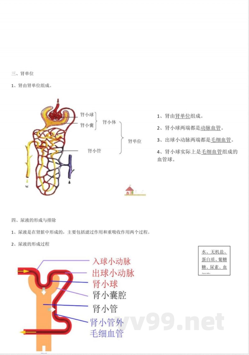 苏科版-八年级生物上册-知识点总结