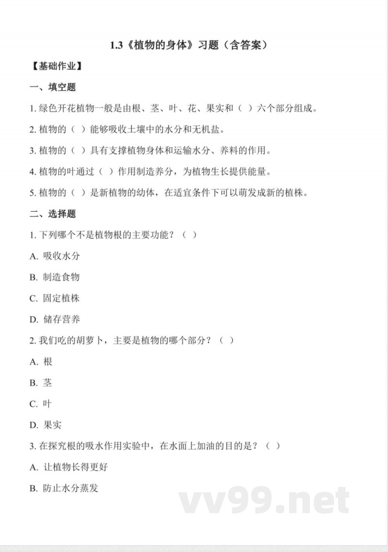 1.3 植物的“身体”（分层作业）科学冀人版三年级上册2025