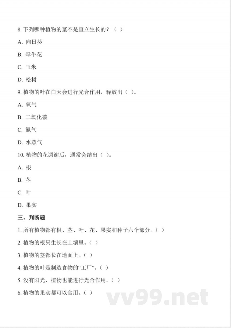 1.3 植物的“身体”（分层作业）科学冀人版三年级上册2025