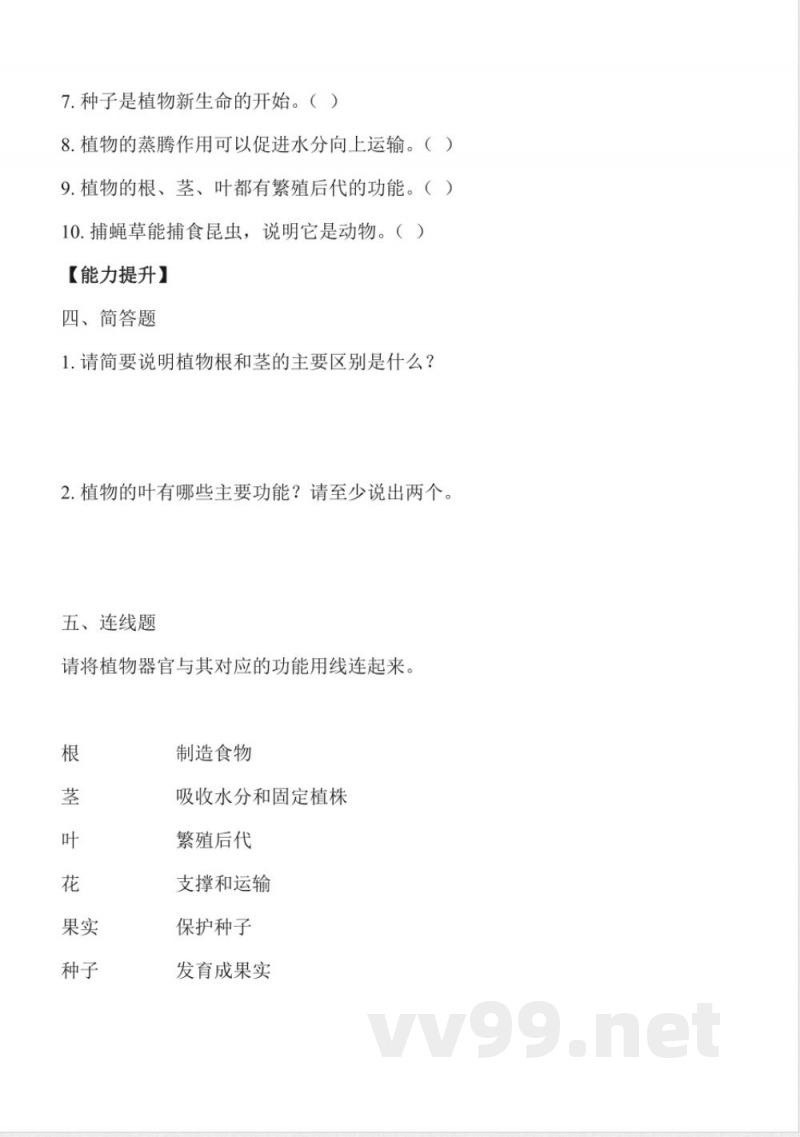 1.3 植物的“身体”（分层作业）科学冀人版三年级上册2025