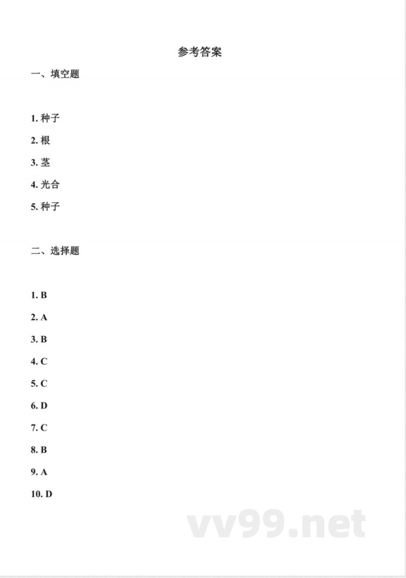 1.3 植物的“身体”（分层作业）科学冀人版三年级上册2025