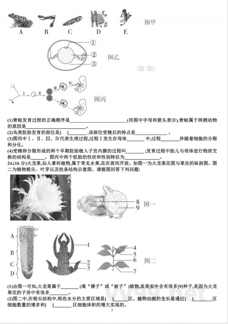 七年级下学期生物期末考试试题（含答案）（适合济南版）济南版（2024）七年级下册