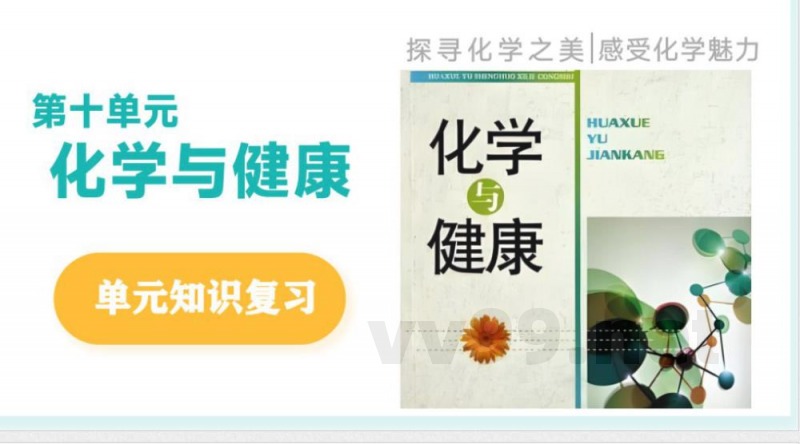 2025年春鲁教版化学九年级下册 第十单元 化学与健康（单元复习课件）