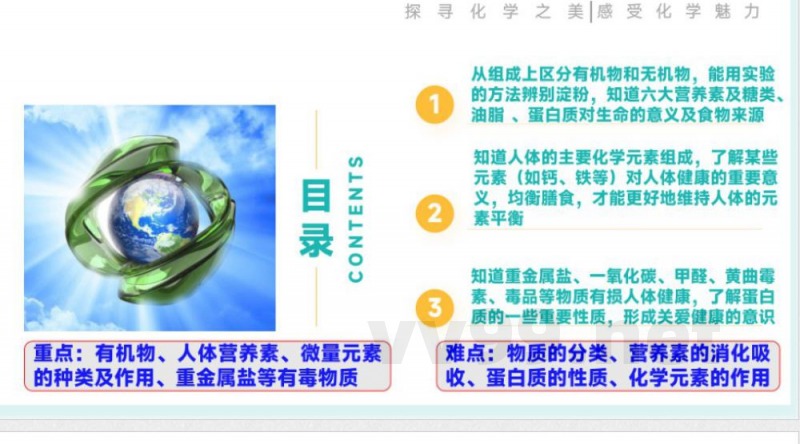 2025年春鲁教版化学九年级下册 第十单元 化学与健康（单元复习课件）