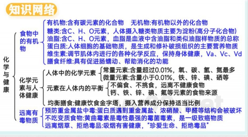 2025年春鲁教版化学九年级下册 第十单元 化学与健康（单元复习课件）