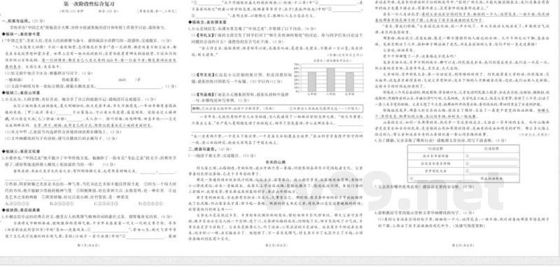 2025年部编版九年级下册语文期中综合检测试卷