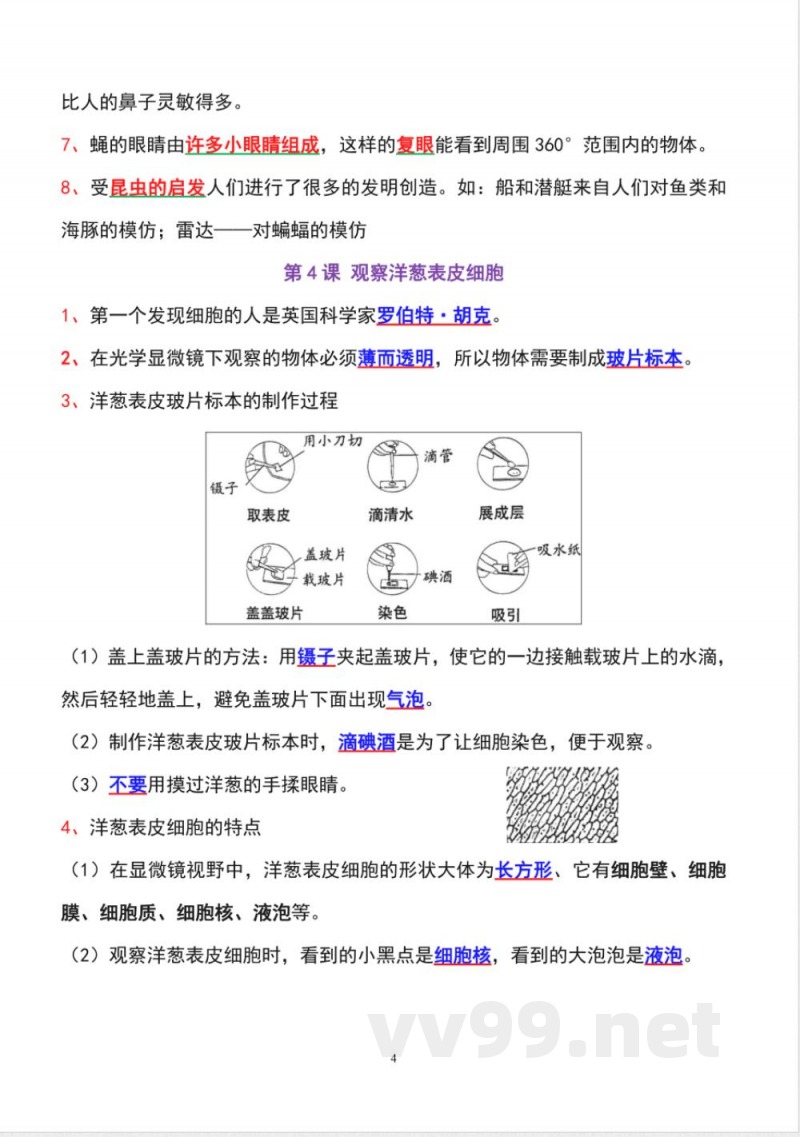 教科版六年级上册科学全册知识点精准梳理