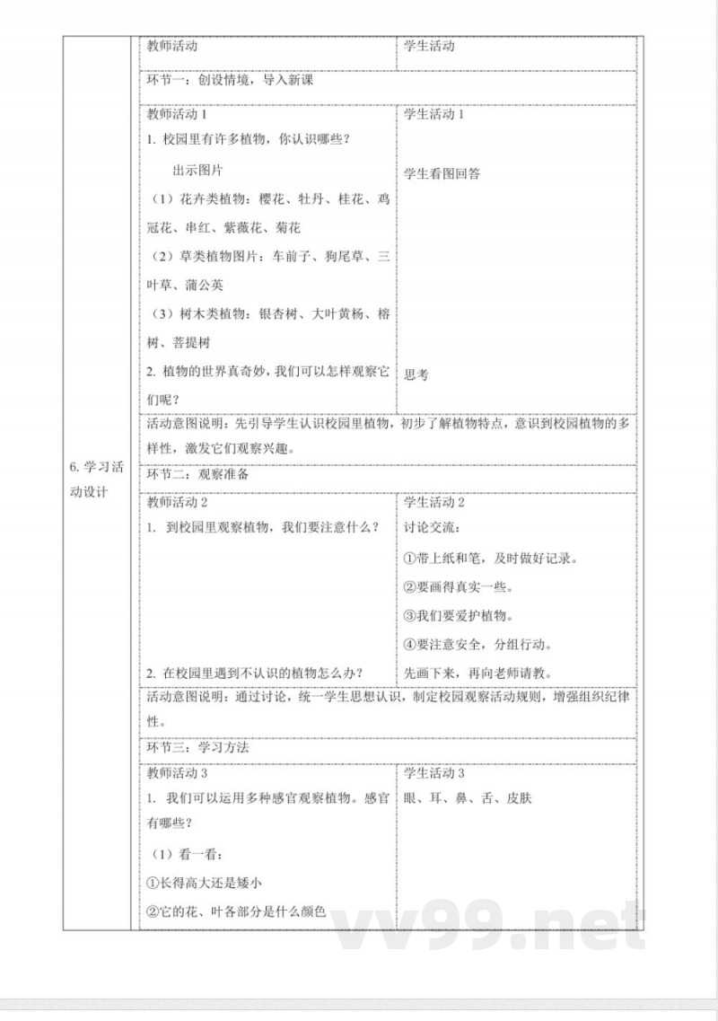 2.5《观察植物》大单元教学设计 2025粤教粤科版科学一年级下册