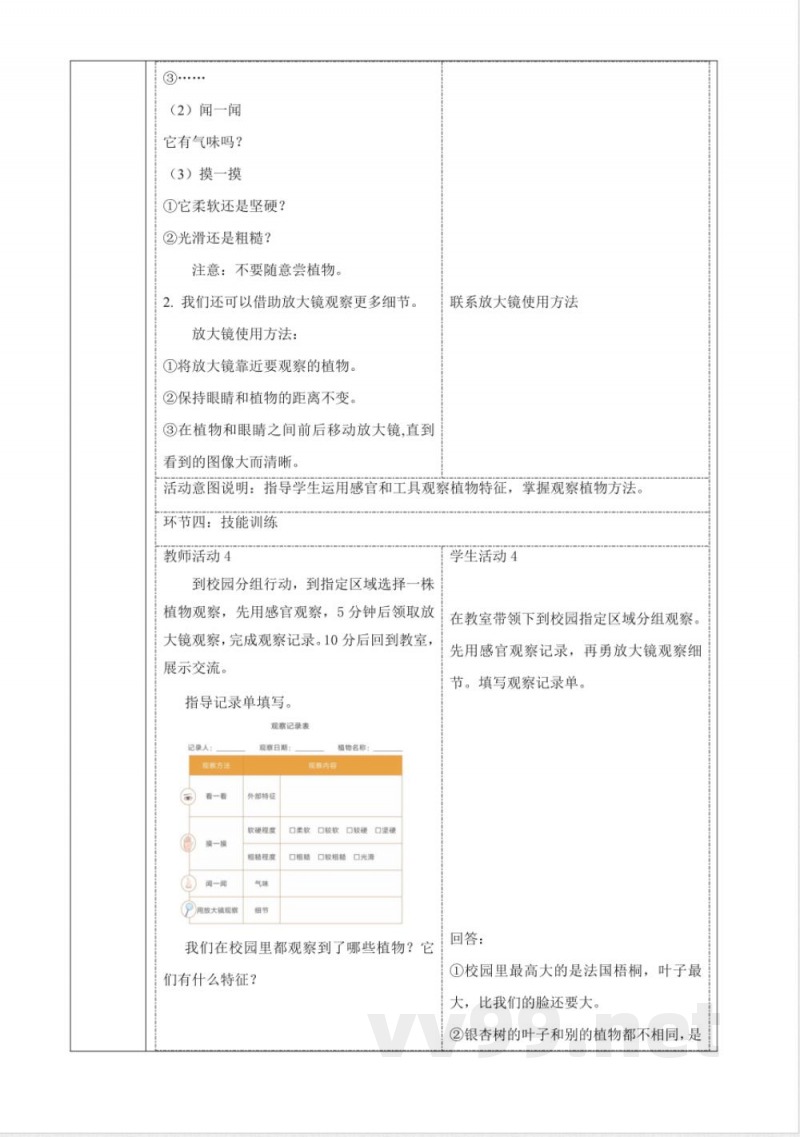 2.5《观察植物》大单元教学设计 2025粤教粤科版科学一年级下册