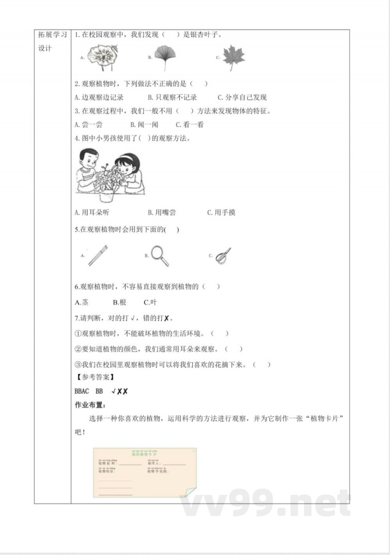 2.5《观察植物》大单元教学设计 2025粤教粤科版科学一年级下册
