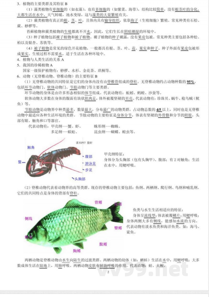 苏教版生物八年级下册复习提纲L